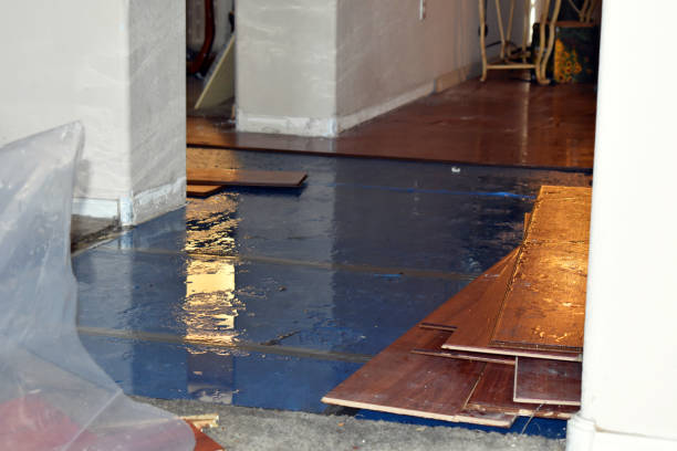 Professional Flood Cleanup technician working in Corbett, OR